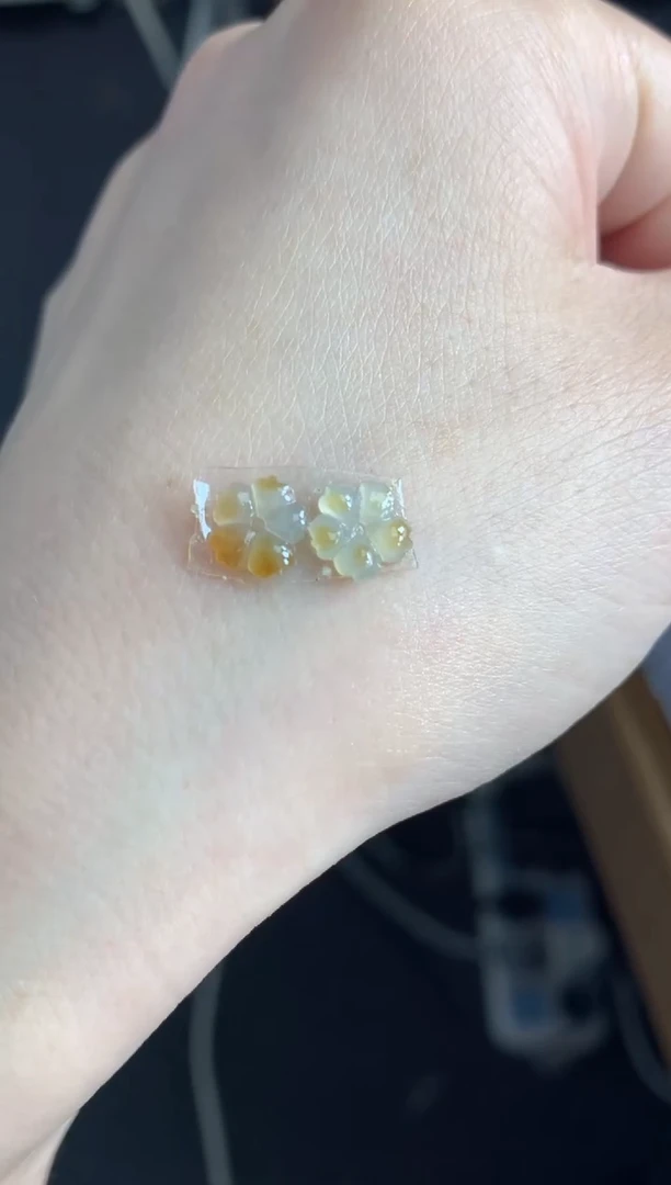 定制翡翠未镶嵌一对花花