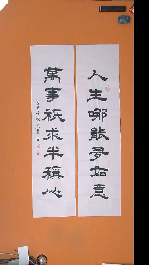 书法王小慧书法纯手写 陕西西安 138*34*2