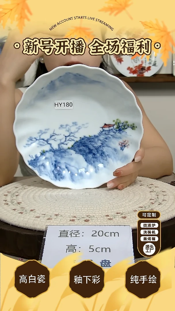 碗景德镇手绘釉下彩陶瓷餐具