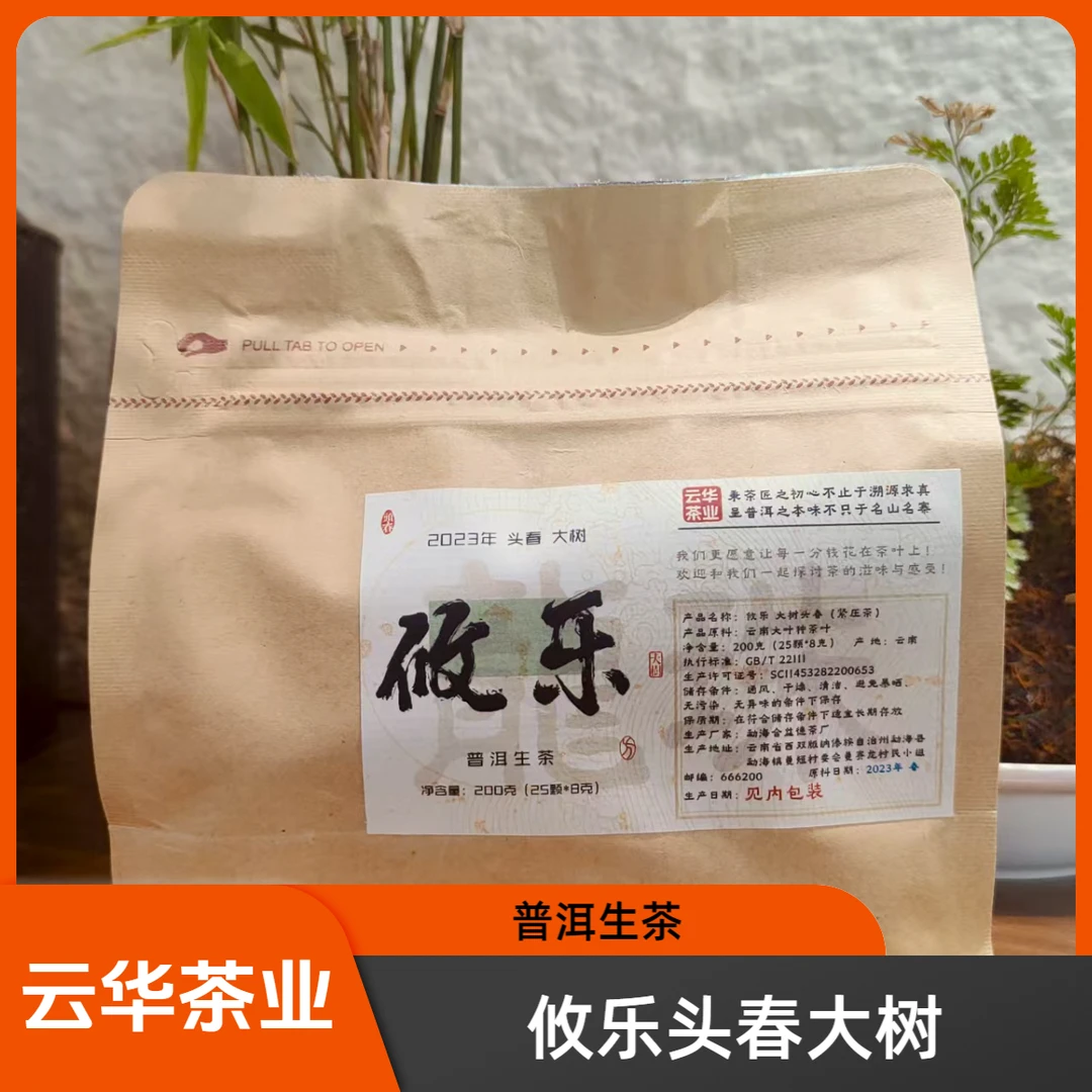 2023年 攸乐大树头春头采 普洱生茶
