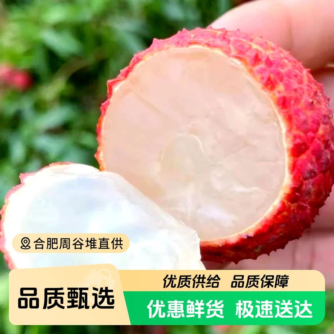 【周谷堆水果】无核荔枝净重2.5斤新鲜无核无渣一口爆汁果肉脆嫩（13）