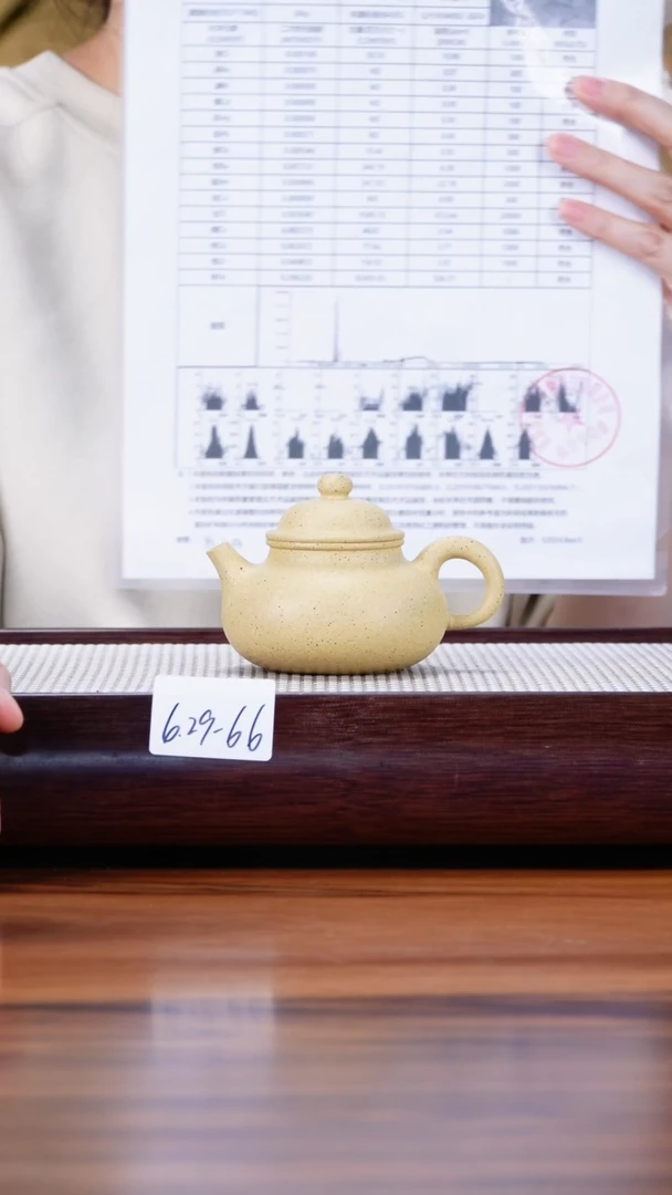 茶壶紫砂6.29-66点搪 本绿容天130