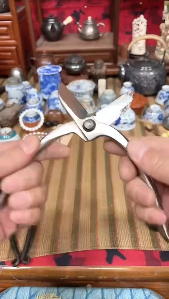 发发发发发发发发发发