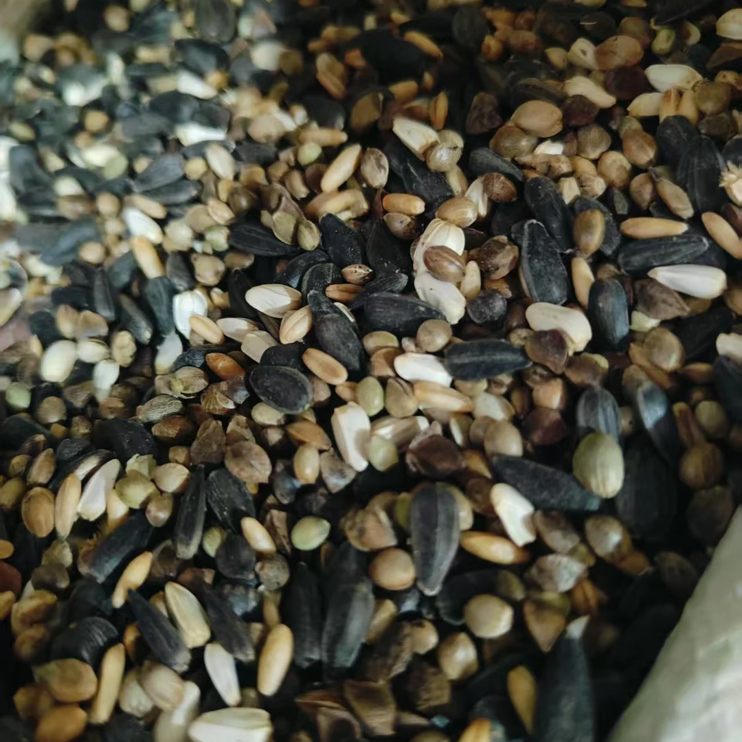 鹦鹉鸟粮混合粮小太阳和尚专用营养丰富带壳鸟食1000g装