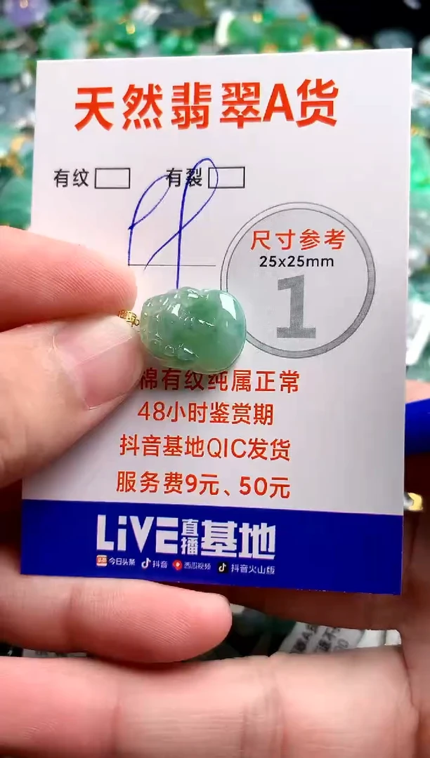 翡翠18K金镶嵌颈饰24001704
