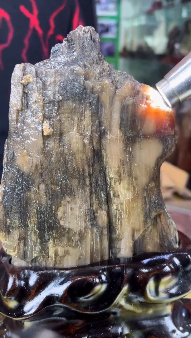 缅甸天然树化玉摆件