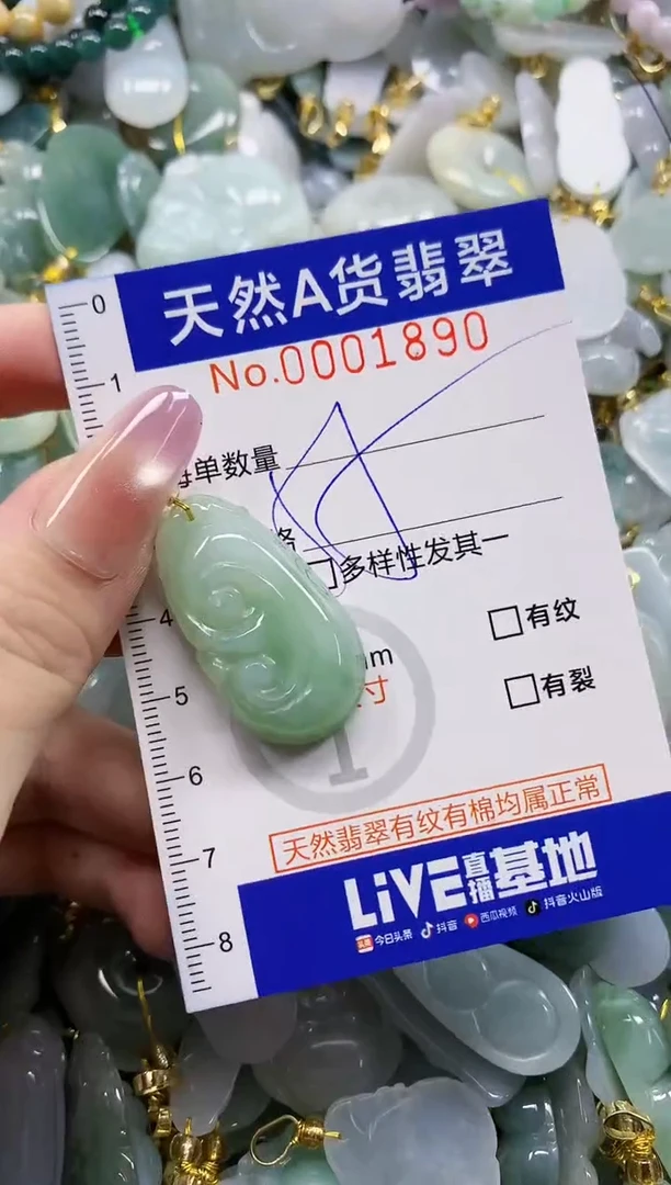 颈饰未镶嵌翡翠天然A货翡翠