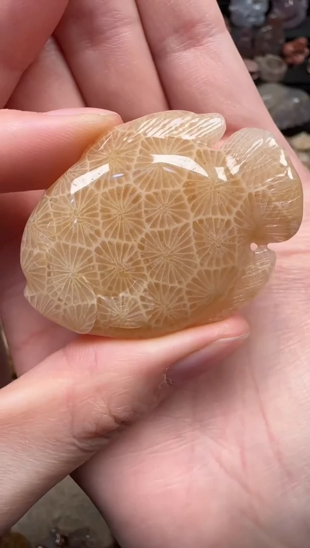 颈饰未镶嵌硅化珊瑚（珊瑚玉）106