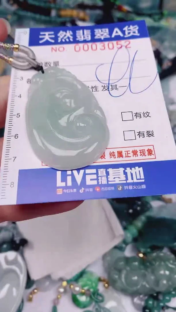 颈饰未镶嵌翡翠00003052