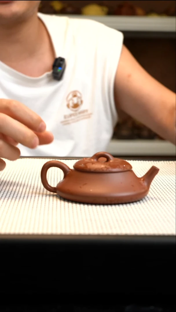 茶壶紫砂紫砂壶13