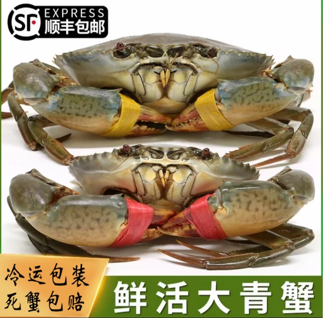 【顺丰活发】活鲜甄选越南精品奄仔青蟹处女蟹（4只装500g）