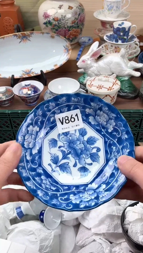 瓷片861