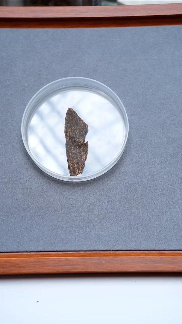 沉香沉香碎屑海南包头99沉1g