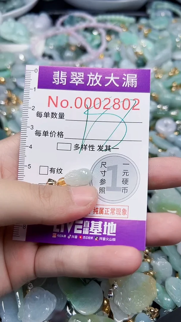 颈饰未镶嵌翡翠2802