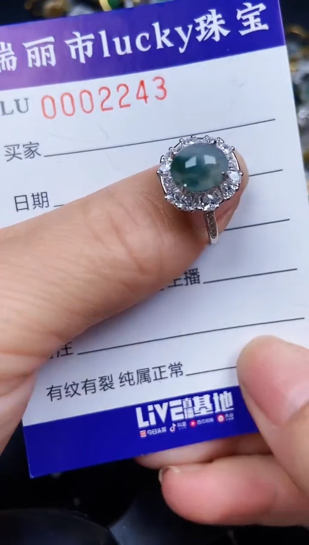 翡翠银S925镶嵌颈饰2243