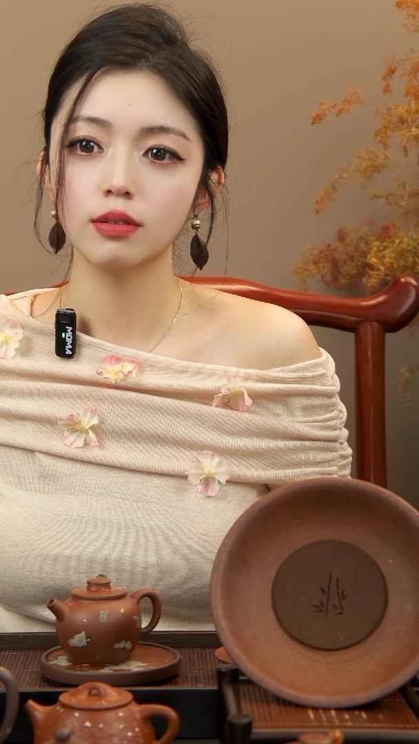 【闪购商品】紫砂茶壶errtttttttreeeee