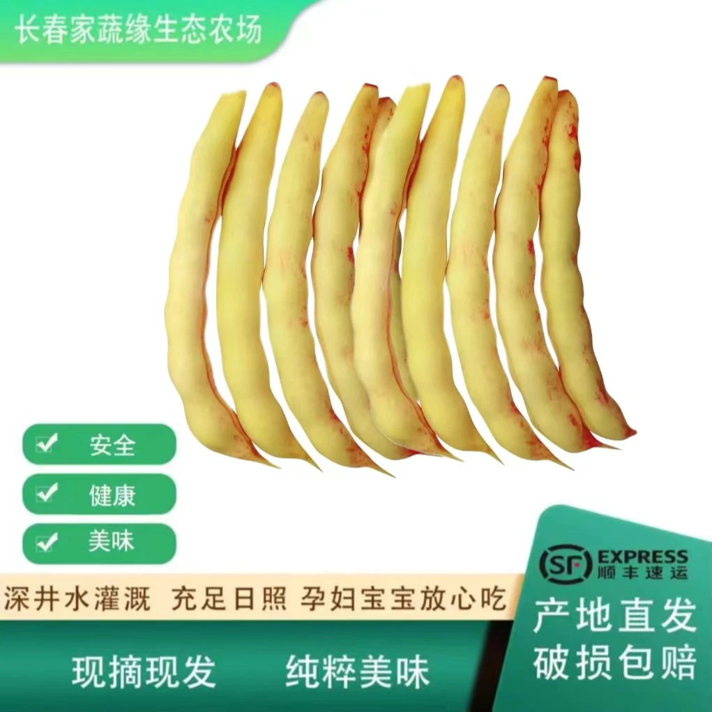 黄金勾豆角顺丰包邮现摘现发