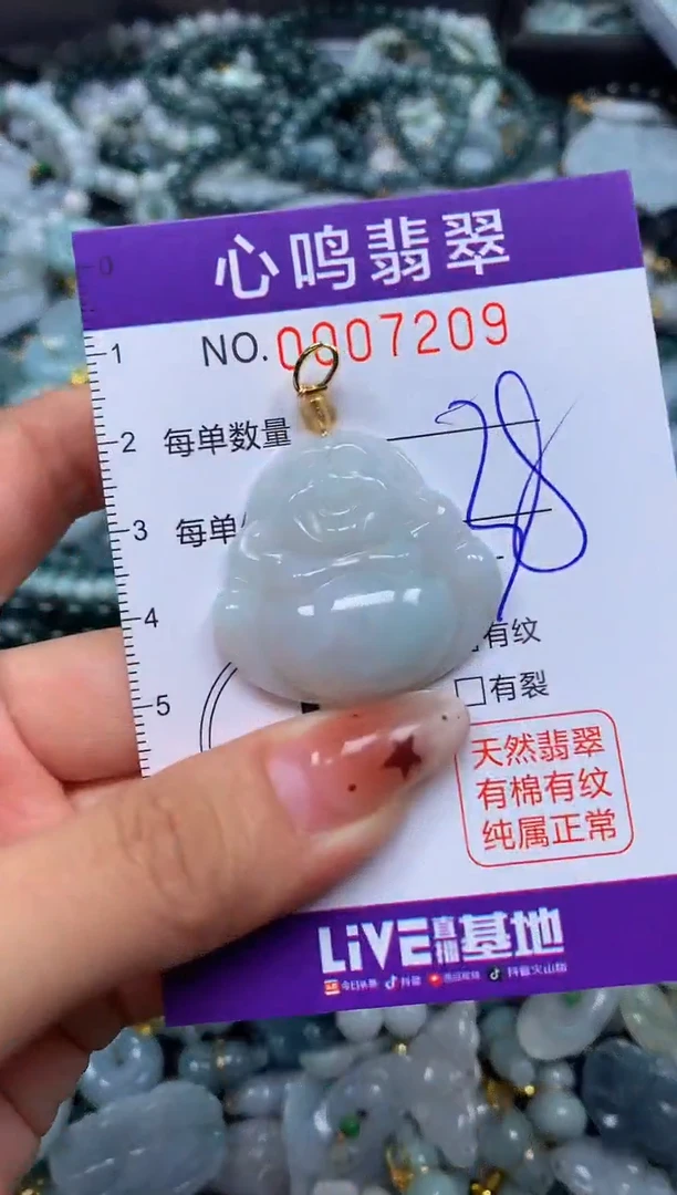 翡翠未镶嵌颈饰闪购007209