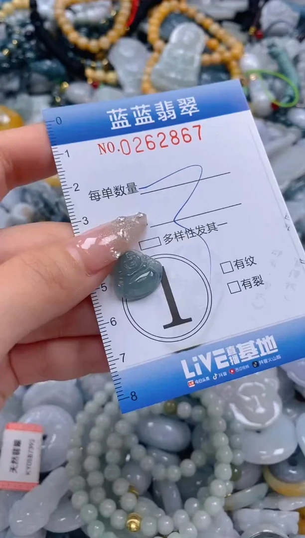 翡翠未镶嵌颈饰闪购0262867