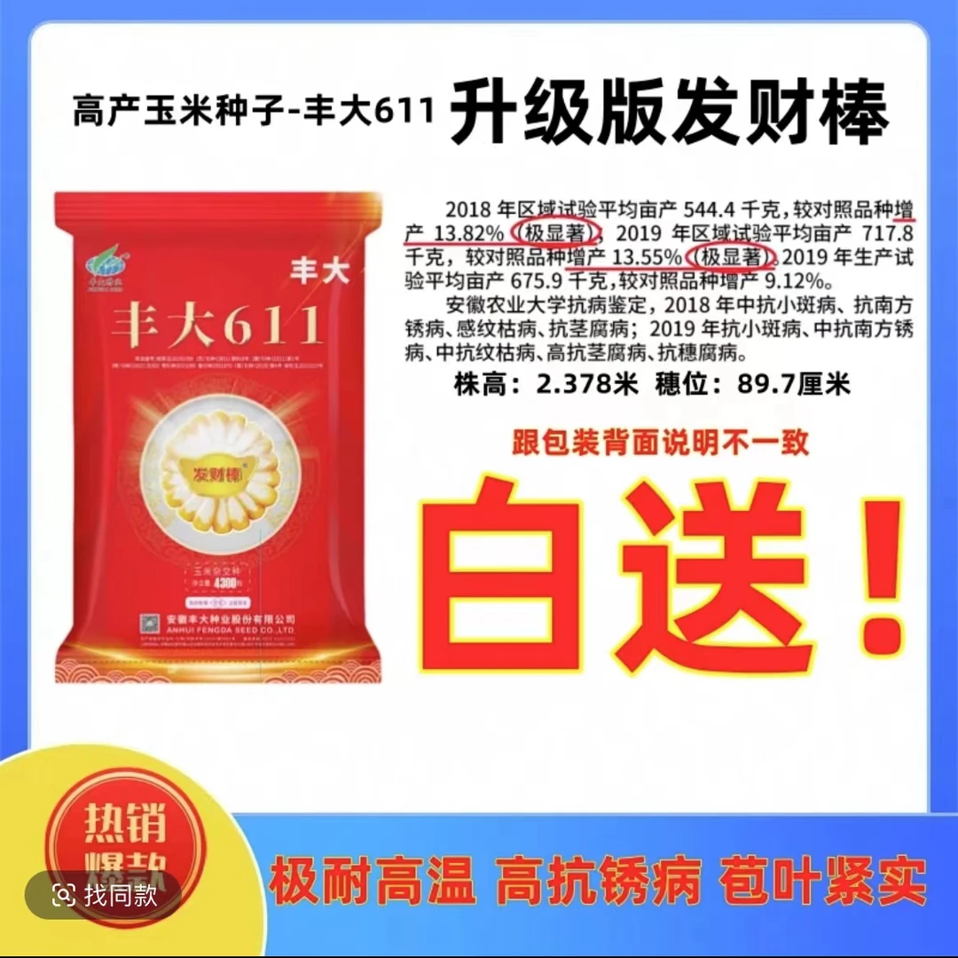 丰大611玉米种子高产矮杆高抗锈病耐高温抗旱高产玉米种子