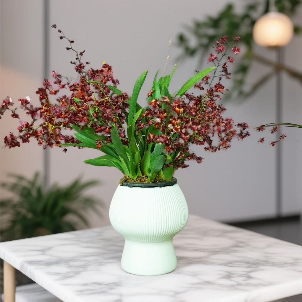 【京东发货】7-9支满堂红梦香兰带花苞室内桌面客厅好养花卉植物