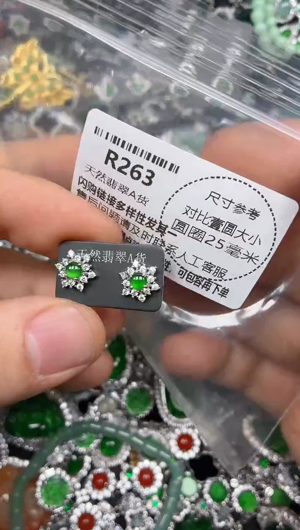 颈饰未镶嵌翡翠R263耳钉