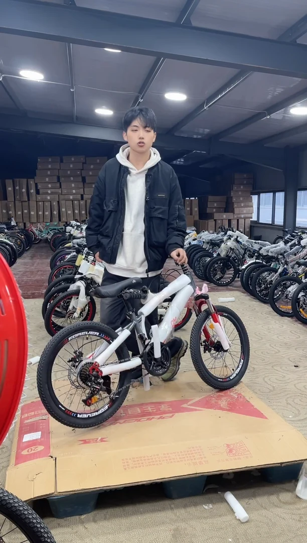 20寸-7速-灰【默认微瑕，不退不换，介意勿拍】