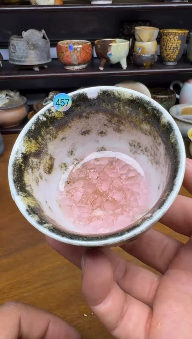 老柴叶烧不退不换457