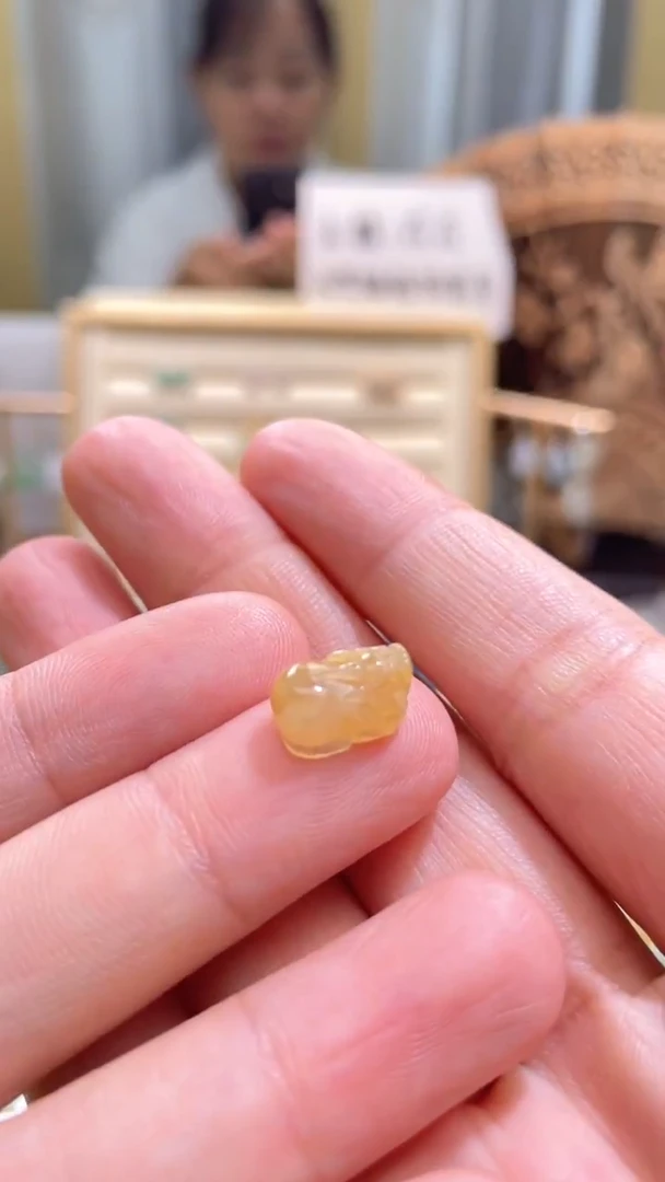 颈饰未镶嵌翡翠貔貅