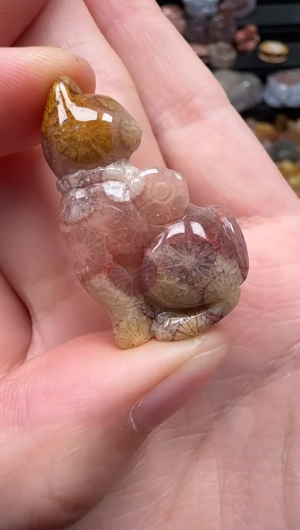 颈饰未镶嵌硅化珊瑚（珊瑚玉）198