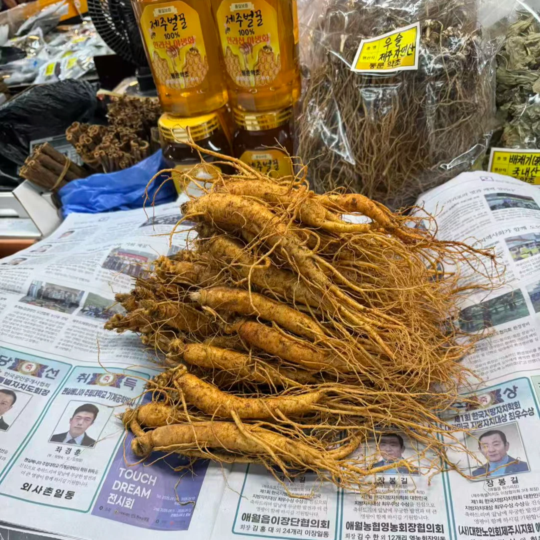优质韩国正宗新鲜高丽参带土现挖产地直发空运到家滋补食材新鲜