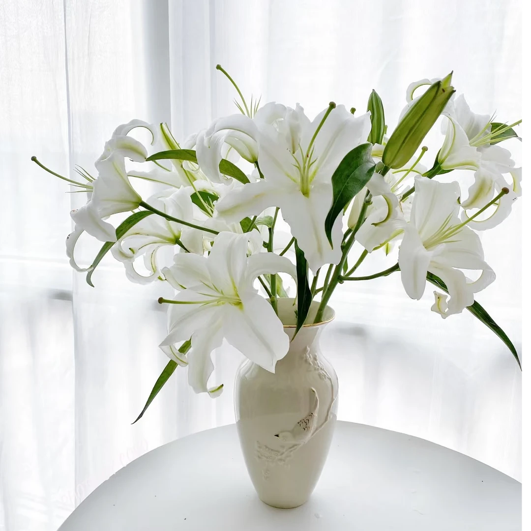 白百合香水百合云南基地直发家用办公室水养鲜花装饰云南鲜切花