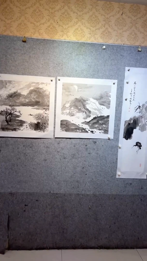 国画澹*张自学水墨画48