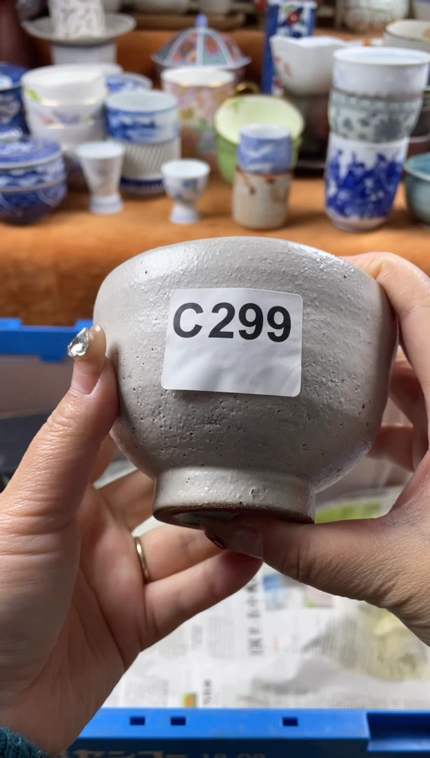 【闪购商品】C299