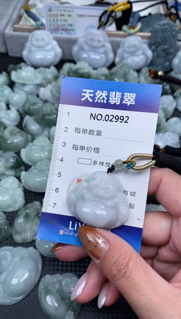 颈饰未镶嵌翡翠纯天然A货翡翠2992