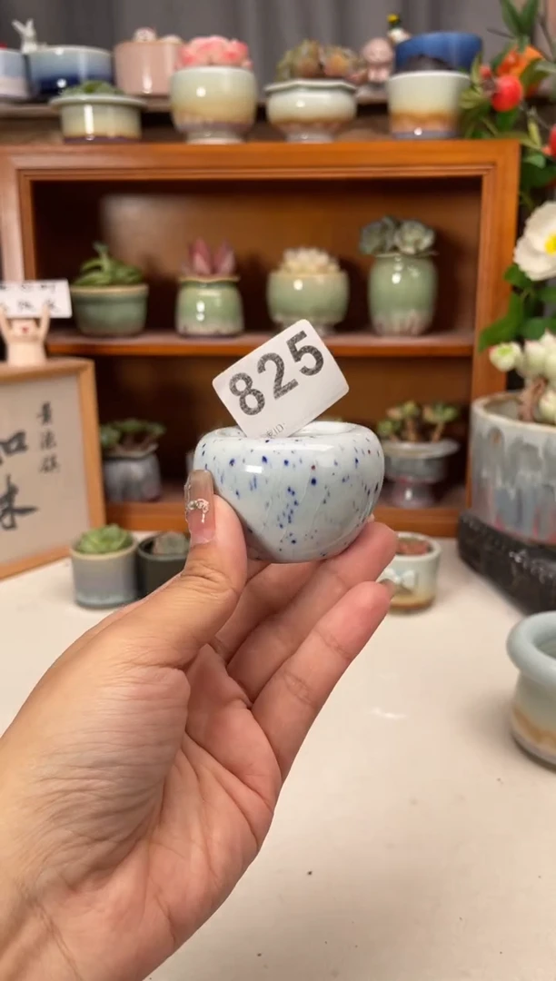 瓷片825知木小芳花盆