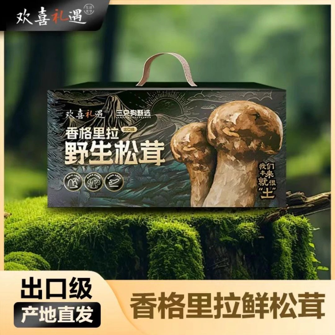 （出口级）香格里拉精品松茸