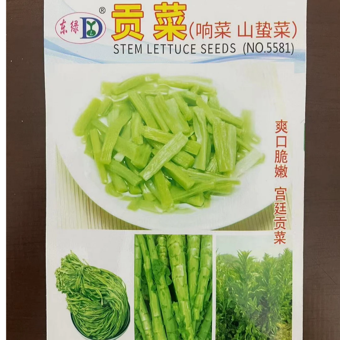 贡菜种子响菜 山蜇菜 宫廷贡菜