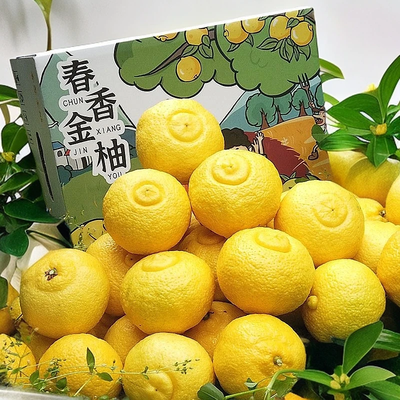 象山青10斤装柑橘新鲜采摘春香橘柚清香甘甜爽口纯甜不酸浙江省不知火柑橘浙江省浙江省宁波市