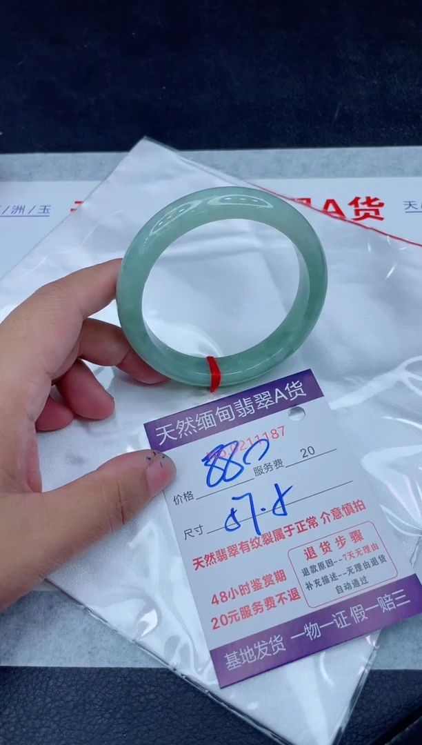 未镶嵌手镯翡翠880.0000