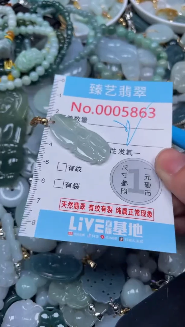 颈饰未镶嵌翡翠5863
