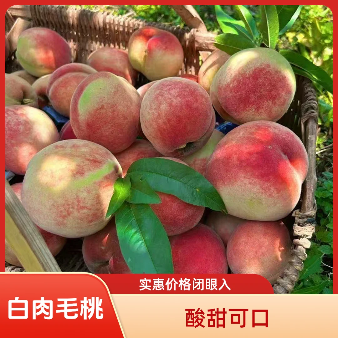 【新鲜现摘】桃子脆软毛桃脆桃湖北襄阳白肉小毛桃整箱发货非水蜜桃