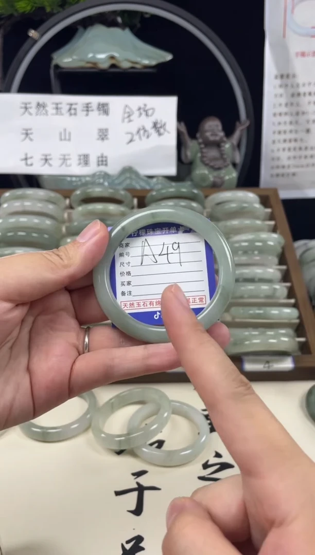 石英质玉（天山翠）手镯未镶嵌A49