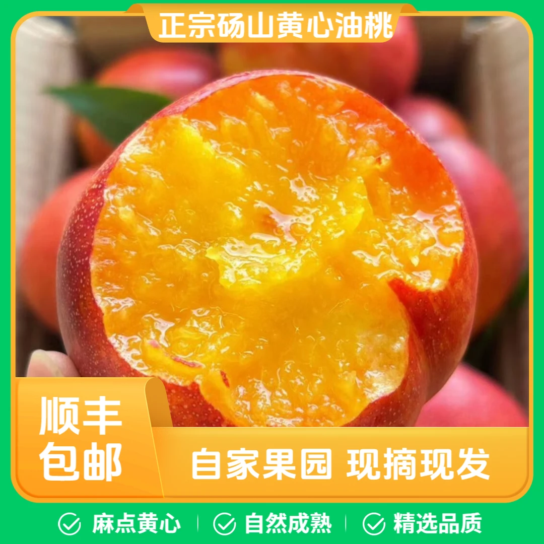 正宗砀山麻点黄心油桃新鲜水果应季桃子孕妇脆甜果园现发