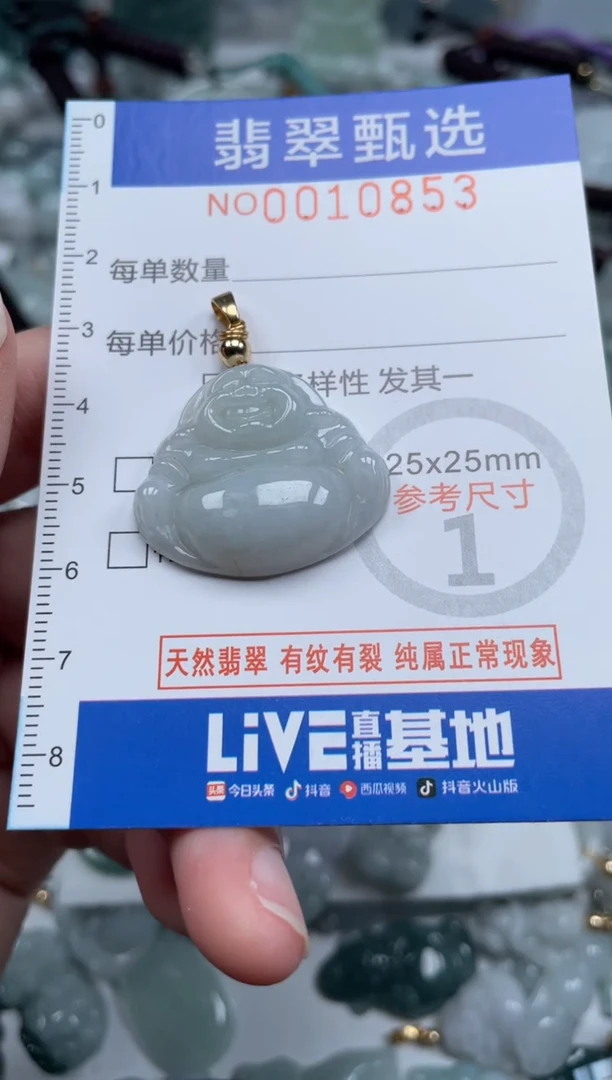 颈饰未镶嵌翡翠10853