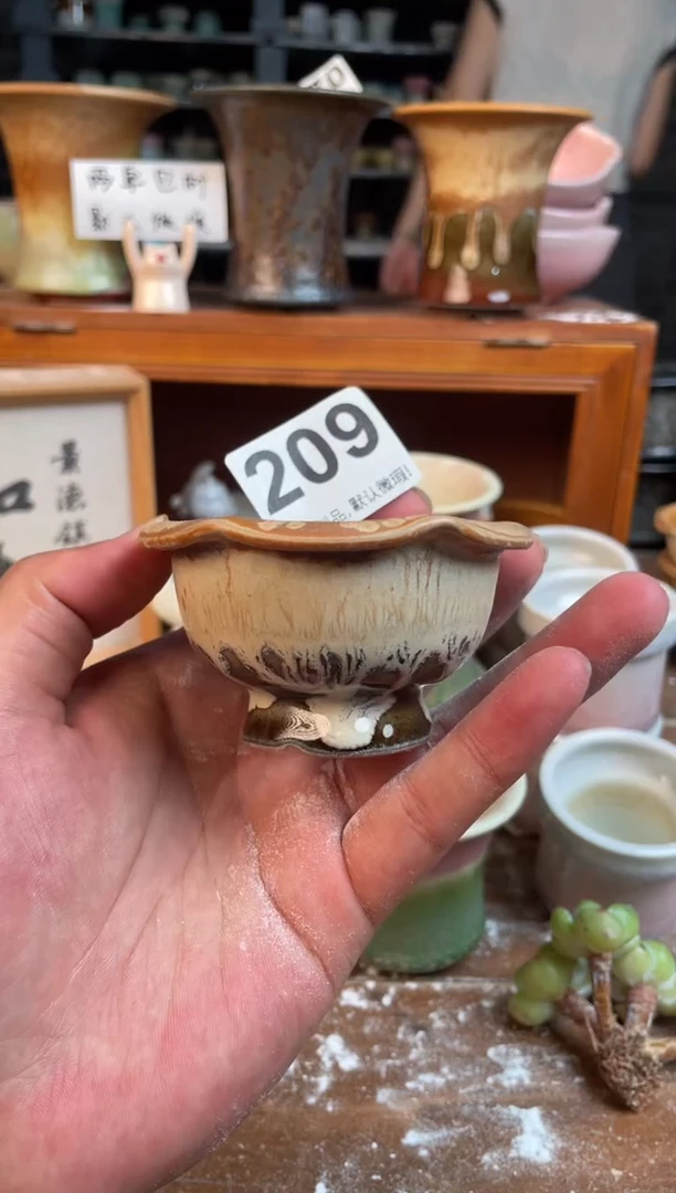 瓷片209小芳花盆编号