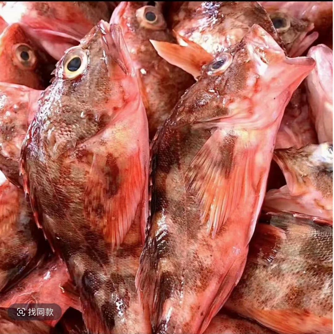 东海热气石九公 虎头鱼 到手2斤