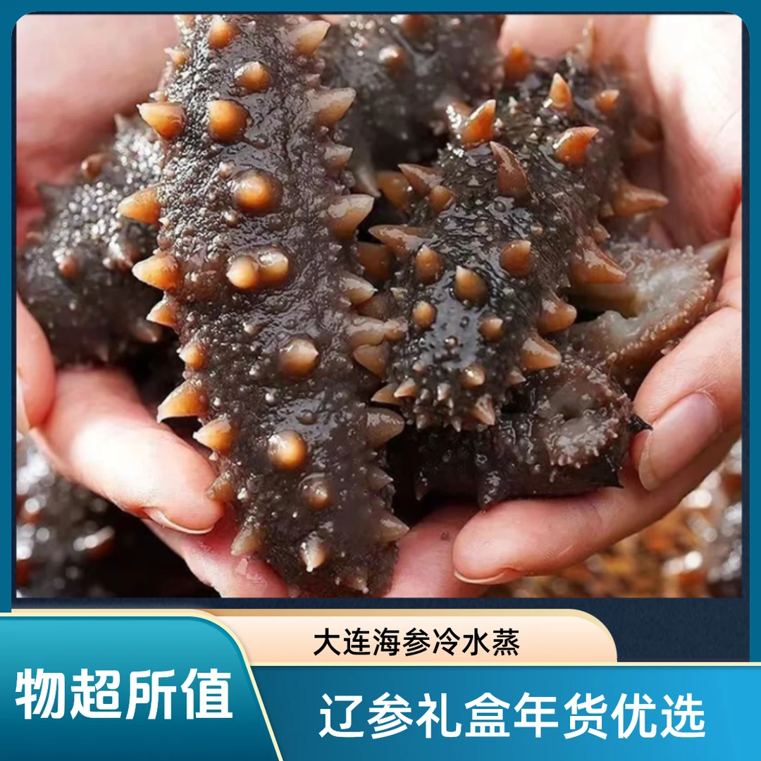 【新春送礼福利礼盒】大连即食辽参8-10头/斤左右海参冷蒸大连直发