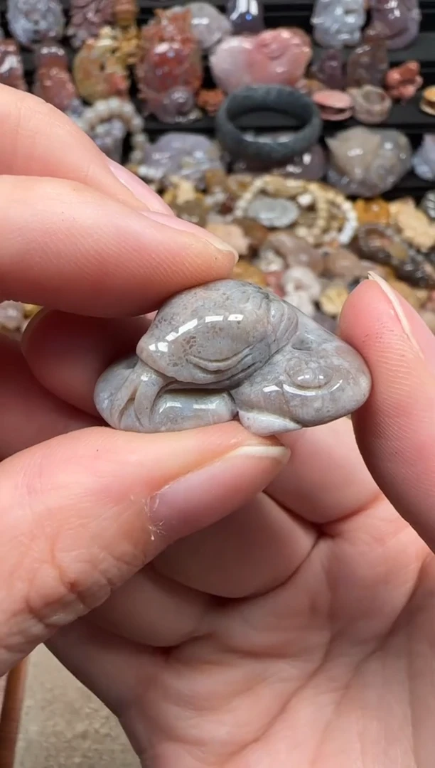 颈饰未镶嵌硅化珊瑚（珊瑚玉）072