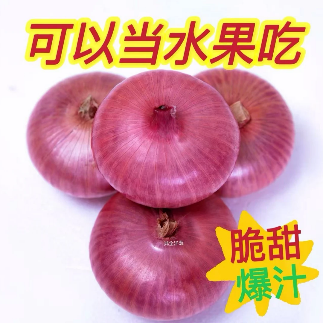 山东新鲜扁平二红水果洋葱可生吃微甜微辣5斤时令蔬菜